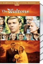 the waltons tv poster
